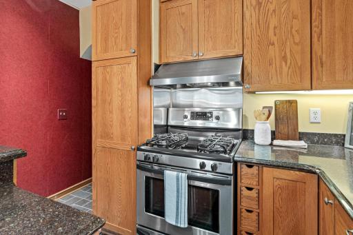 1603 Laurel Avenue, Saint Paul, MN 55104
