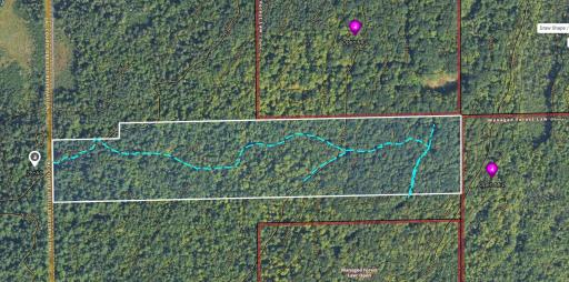 Parcel Map. The light blue lines are is the road through the land