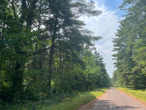 LOT 4 Smith Road, Couderay, WI 54828
