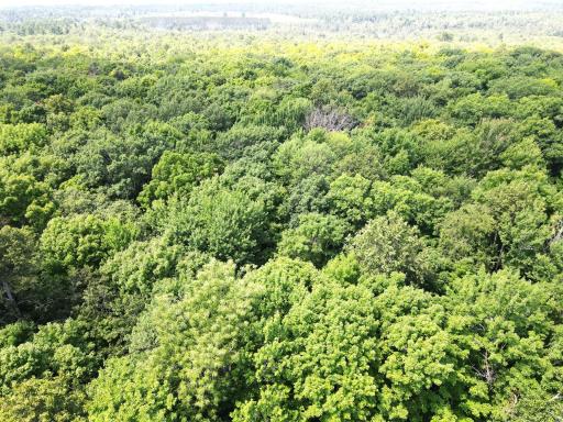 LOT 4 Smith Road, Couderay, WI 54828