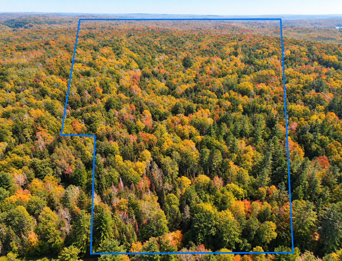 28 wooded acres, all high ground.