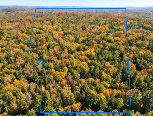 LOT 4 Smith Road, Couderay, WI 54828