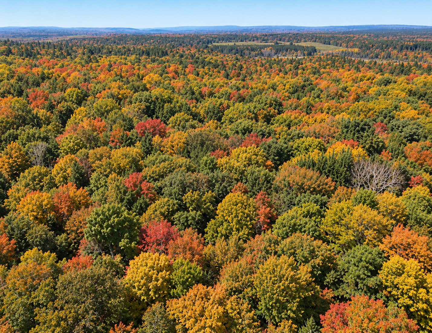 View from the top of the hill