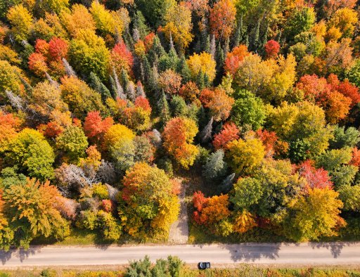 LOT 4 Smith Road, Couderay, WI 54828