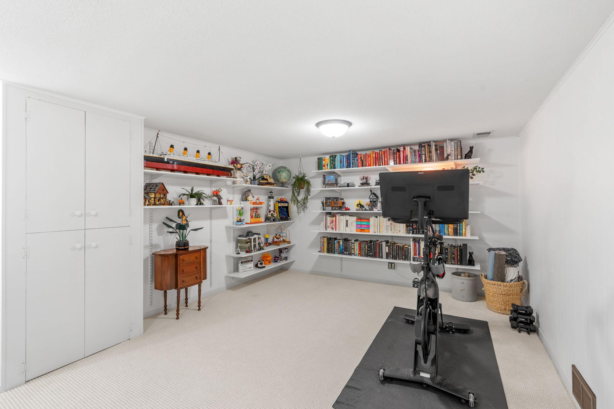 Lower Level Family Room