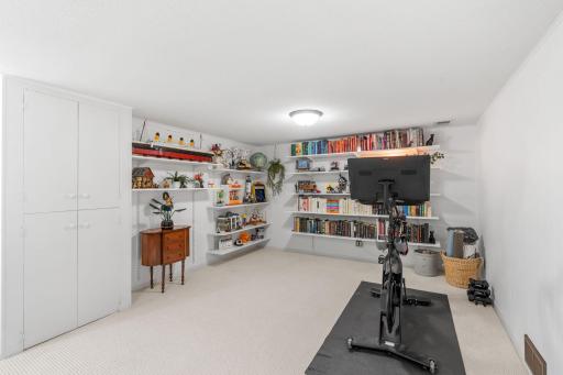 Lower Level Family Room