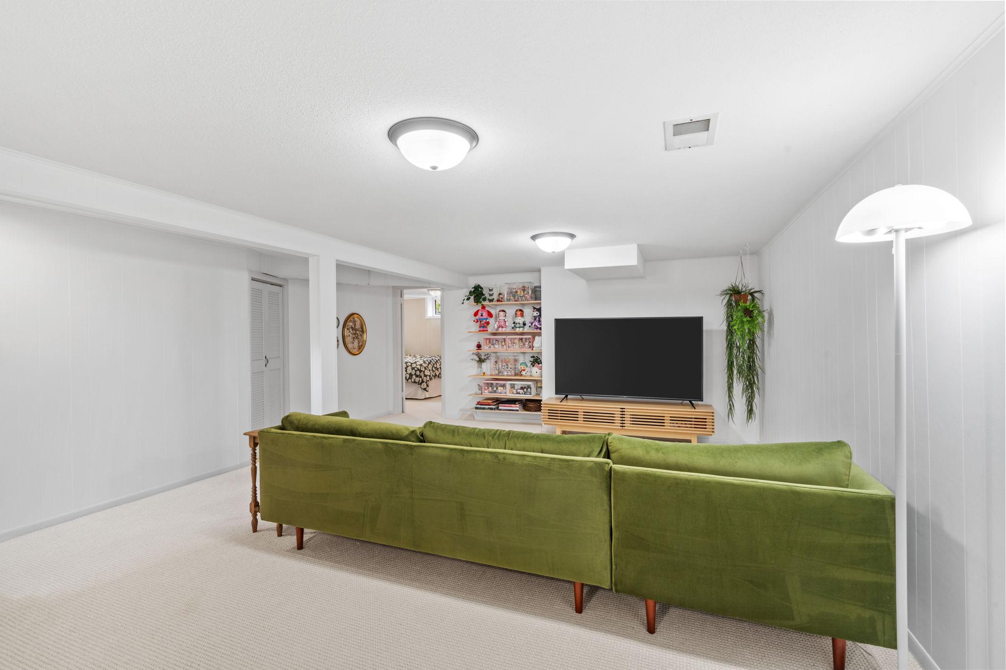 Lower Level Family Room