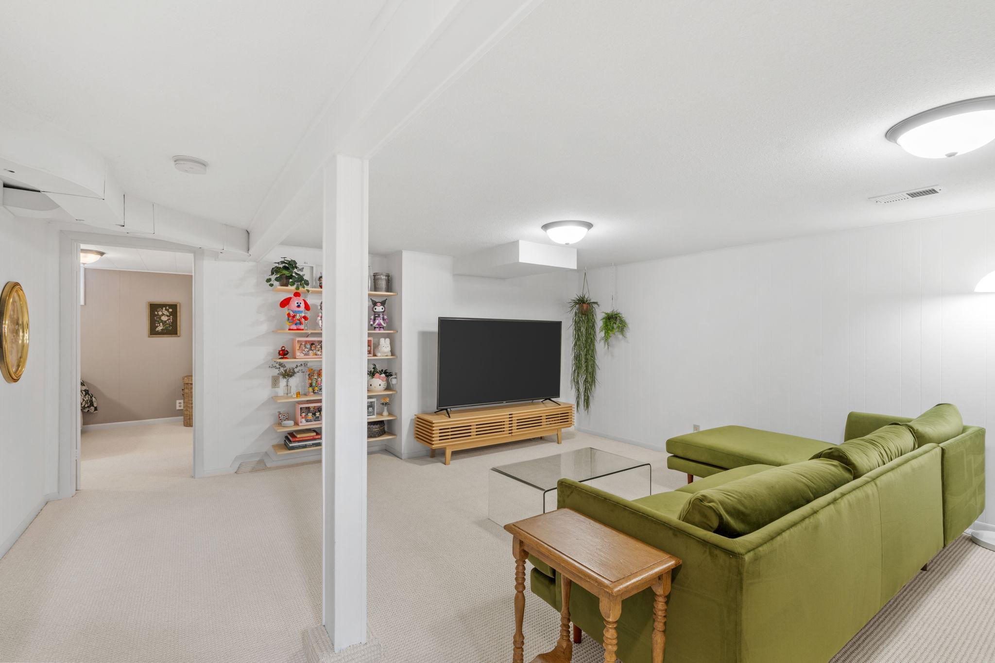 Lower Level Family Room