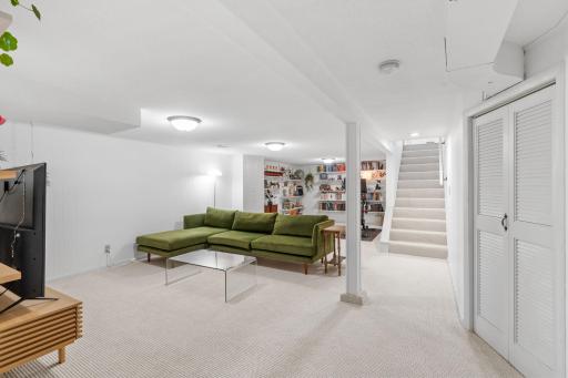 Lower Level Family Room
