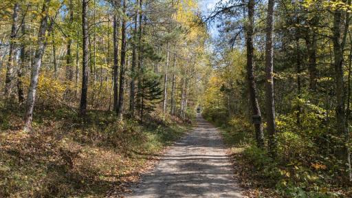 24392 S Long Lake Trail, Bigfork, MN 56628