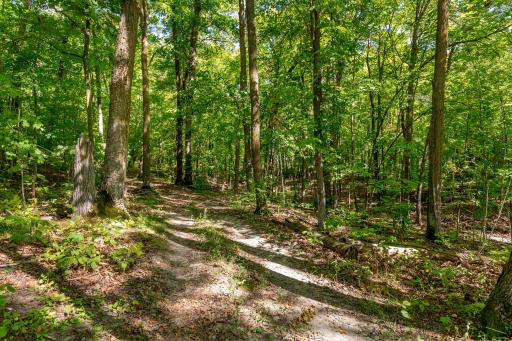 TBD Lantern Lane, Hackensack, MN 56452