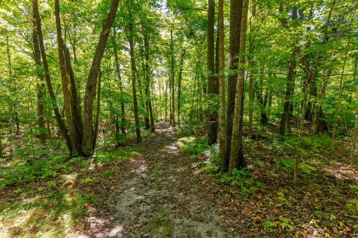 TBD Lantern Lane, Hackensack, MN 56452