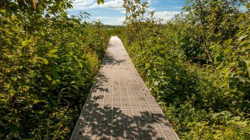 TBD Lantern Lane, Hackensack, MN 56452