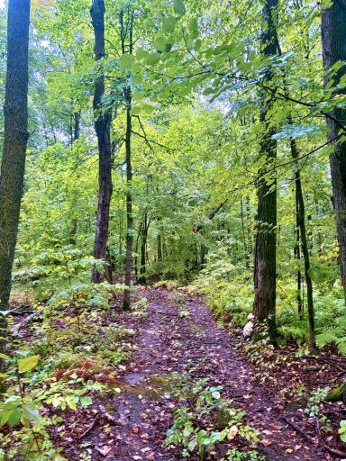 TBD Lantern Lane, Hackensack, MN 56452