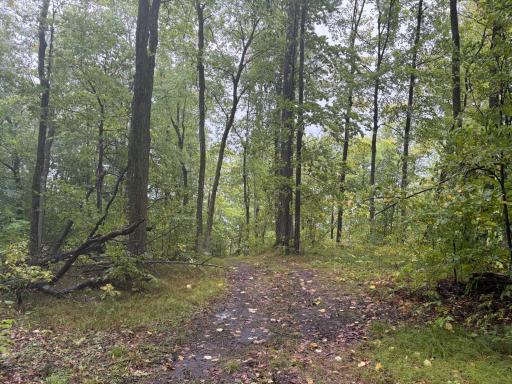TBD Lantern Lane, Hackensack, MN 56452