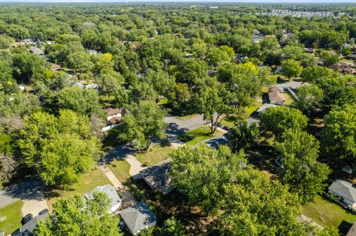 An aerial perspective shows the home's setting within an established Blaine neighborhood surrounded by mature trees.