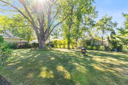 A spacious backyard on .23 acre lot surrounded by mature trees offers plenty of room for entertaining, gardening, play or simply enjoying the outdoors.
