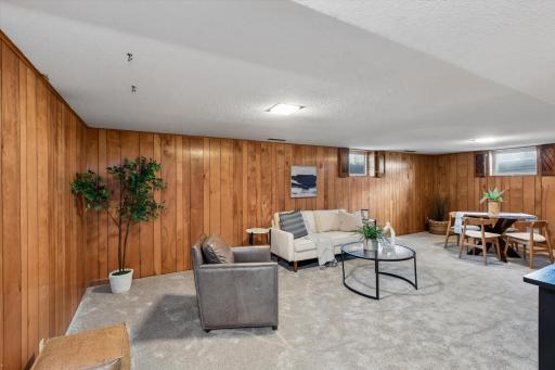 Lower level family room