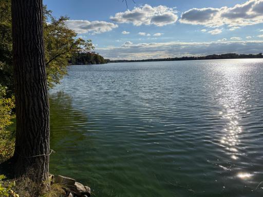 Peek out at the lake, and enjoy the natural beauty this property has to offer.