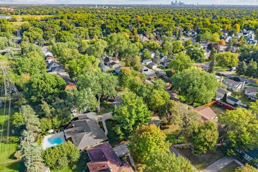 Tree-Lined Streets and Close Proximity to Downtown