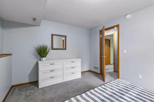 Lower level bedroom with closet