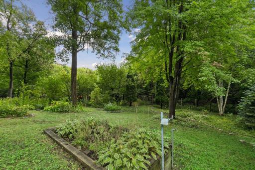 Backyard with plenty of perennials and a gardener's dream yard.