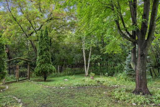 Backyard with plenty of perennials and a gardener's dream yard.