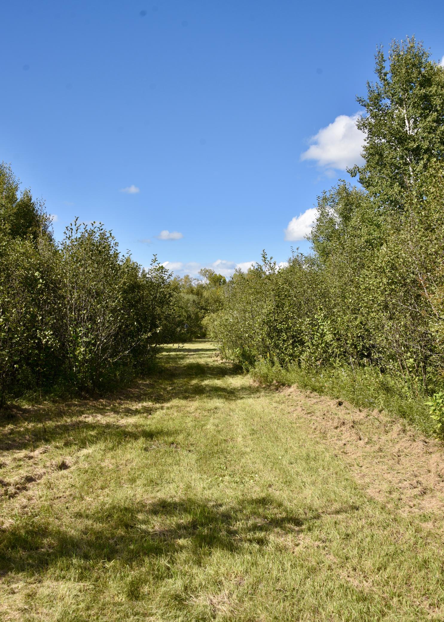 DSC_5326.JPG