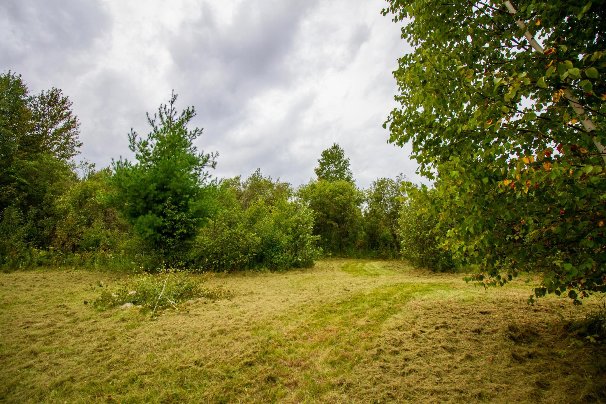 IMG_6827.jpg