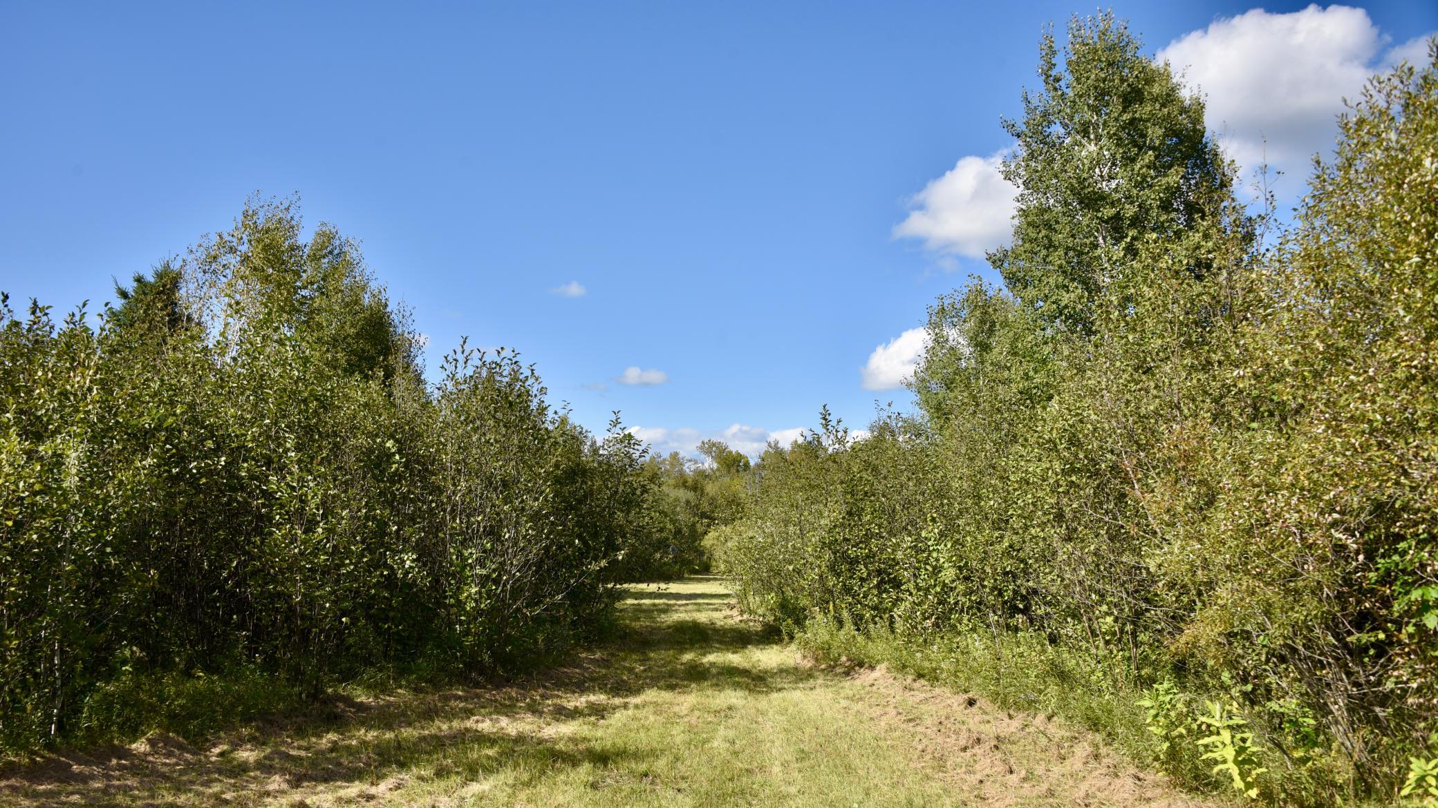 DSC_5325.JPG