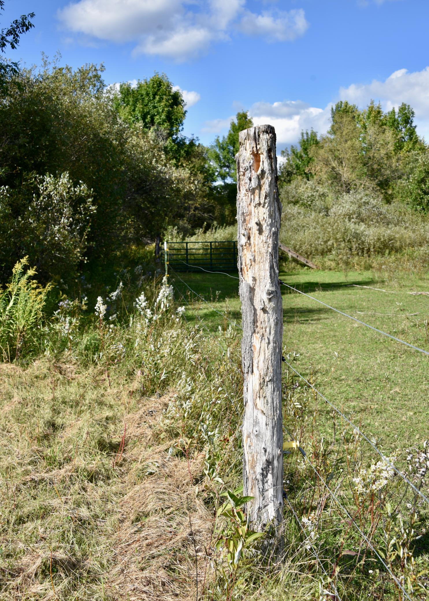DSC_5318.JPG