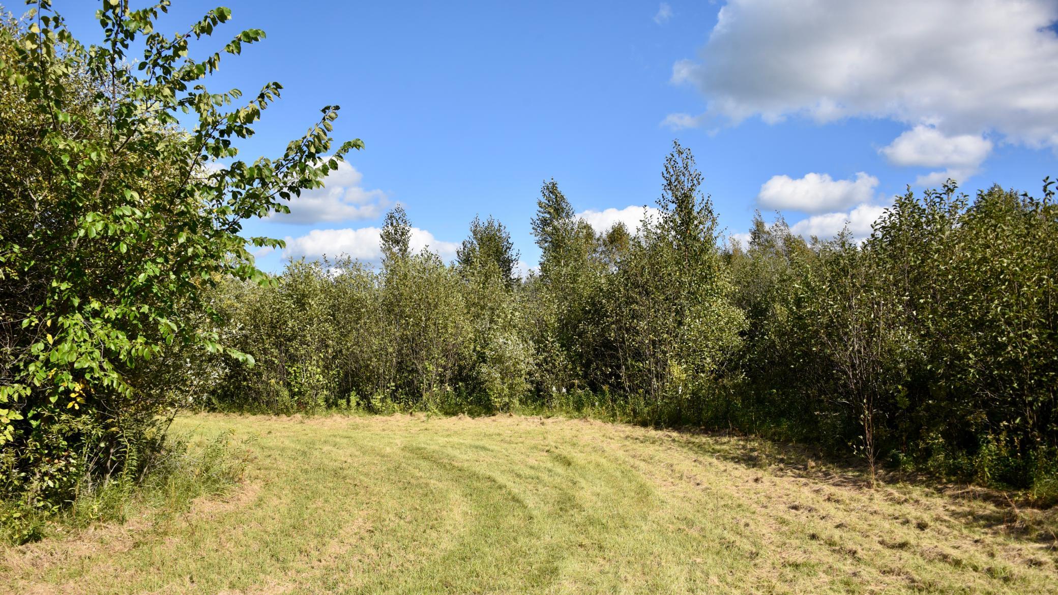 DSC_5313.JPG