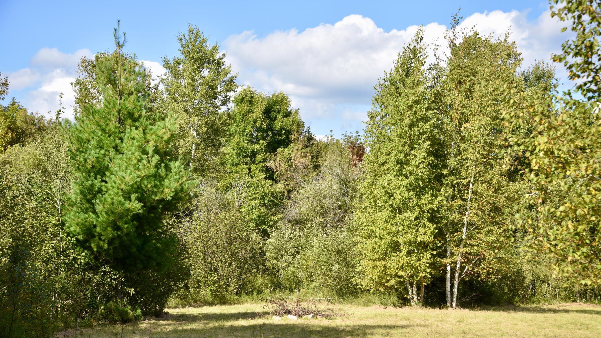DSC_5315.JPG