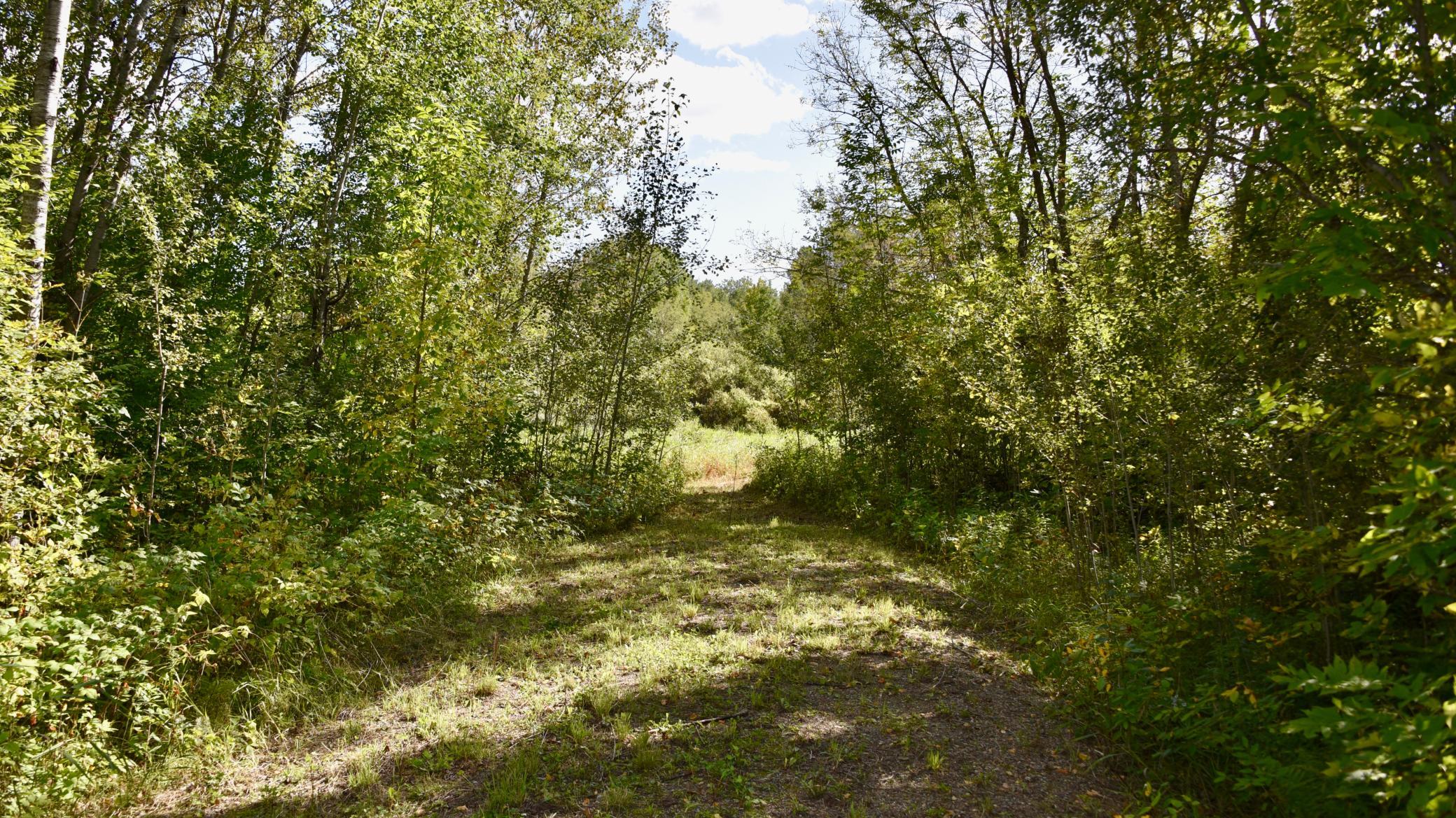 DSC_5306.JPG