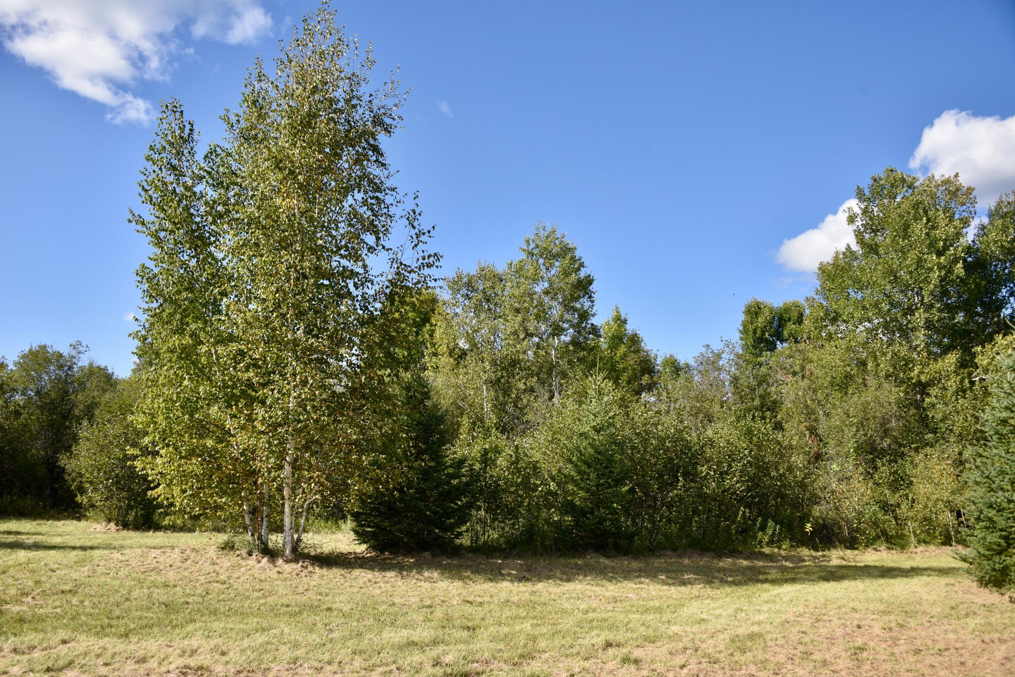 DSC_5320.JPG