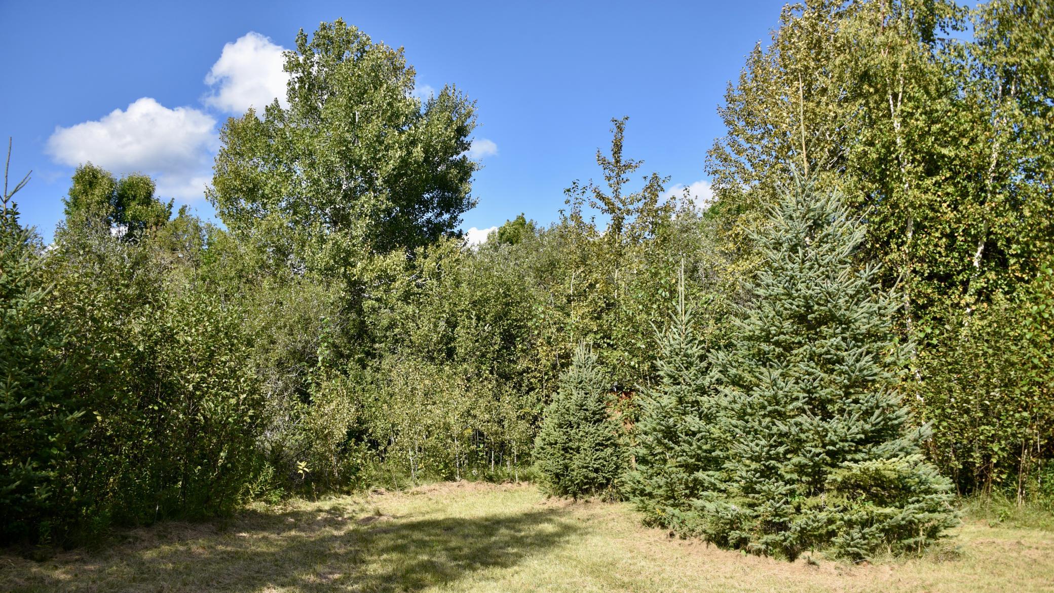 DSC_5321.JPG