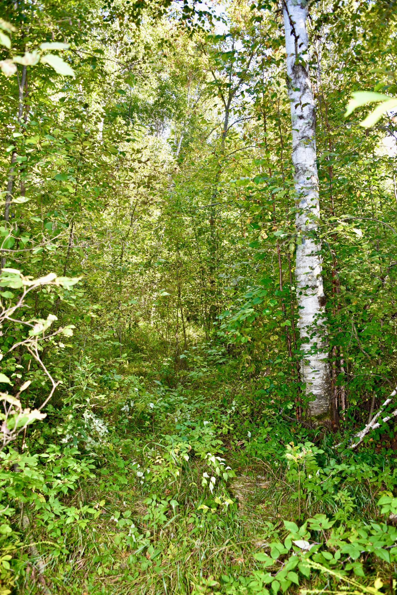DSC_5327.JPG