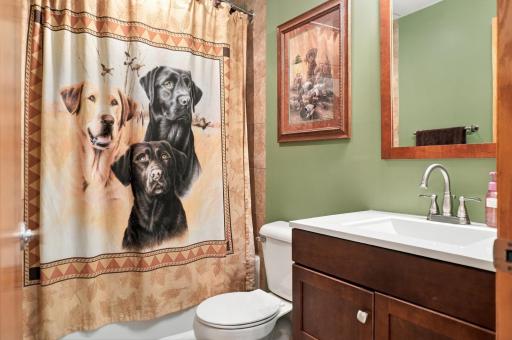 Full Bathroom - lower level