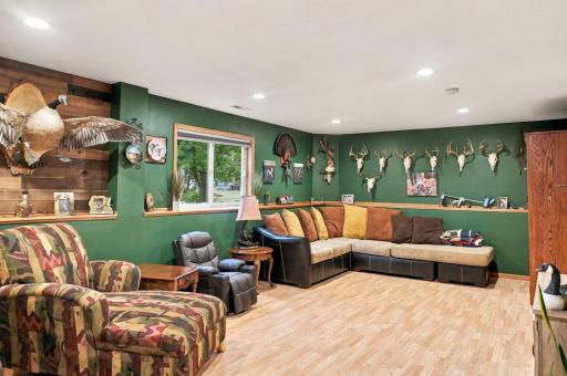 Family Room - lower level