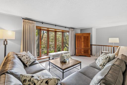 4030 Mackubin Street, Shoreview, MN 55126