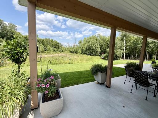 Backyard overlooking woods & wetlands while situated at elevation away from threat of water near the home.