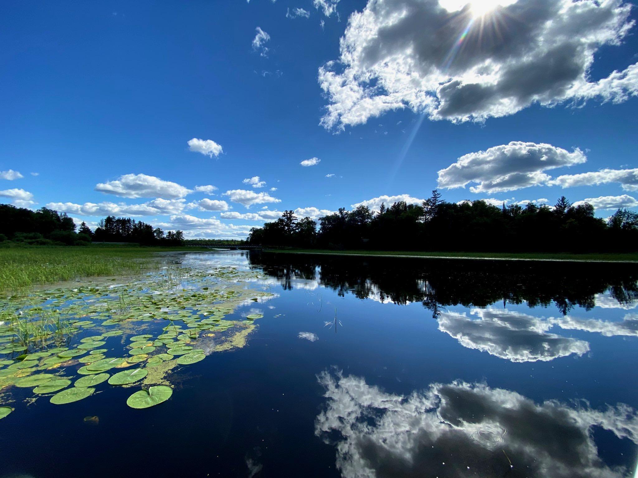 Bowstring River Lilly pads.JPEG