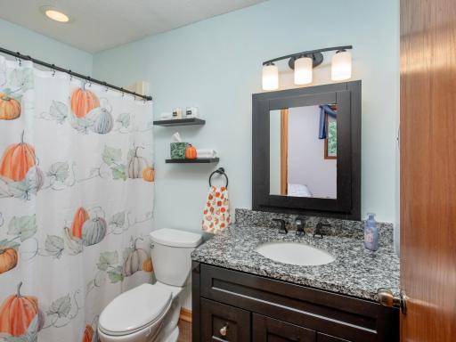 1466 Laurel Avenue, Saint Paul Park, MN 55071