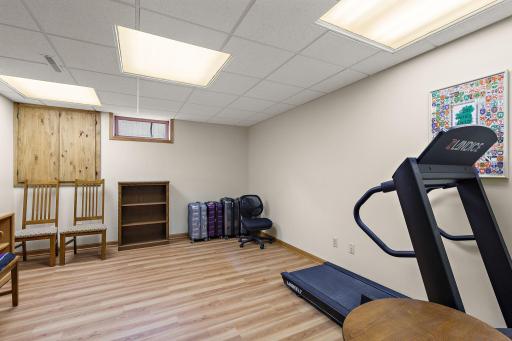 4th level flex room - large and sound proof - a great media room for kids or exercise room~