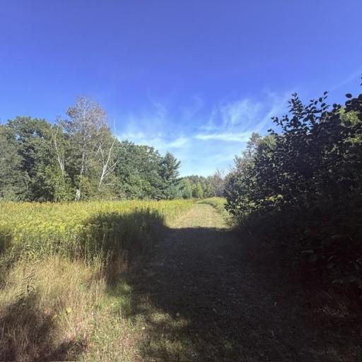 TBD W Lilja Avenue, Shell Lake, WI 54871
