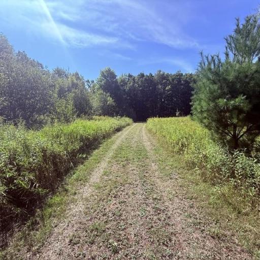 TBD W Lilja Avenue, Shell Lake, WI 54871