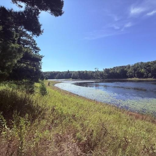 TBD W Lilja Avenue, Shell Lake, WI 54871