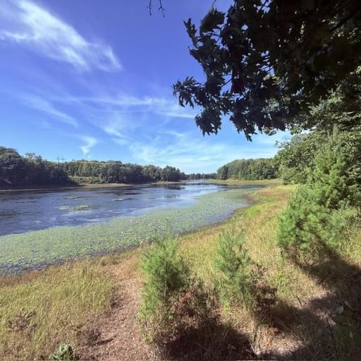 TBD W Lilja Avenue, Shell Lake, WI 54871
