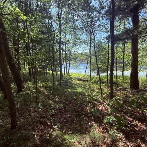 TBD W Lilja Avenue, Shell Lake, WI 54871