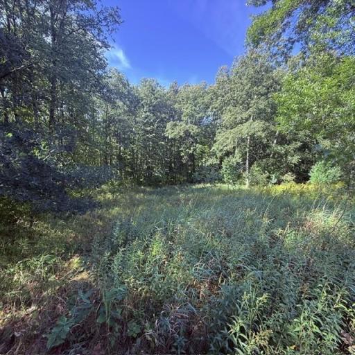 TBD W Lilja Avenue, Shell Lake, WI 54871